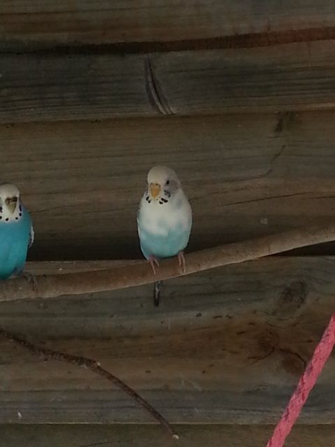 February2013043_zps27079eaf.jpg?t=1360574527