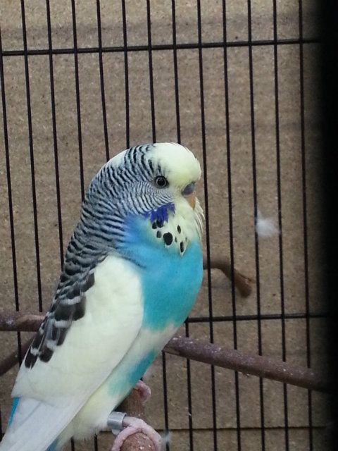 January2013062_zps5cd3497b.jpg?t=1360643310