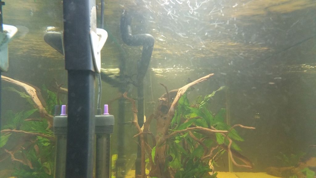 Aquatop canister filter spray bar help The Planted Tank Forum