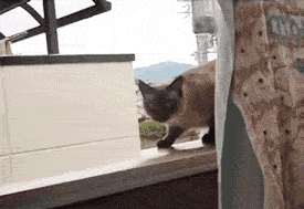 w4nfK_zps8ea5b8a6.gif