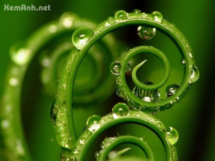 awesome-drop02_zps8c4c4373.jpg