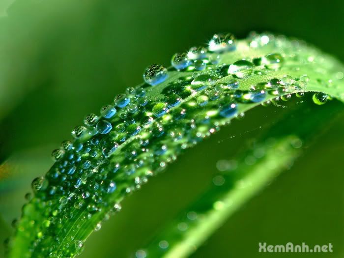 awesome-drop06_zpsc018c007.jpg