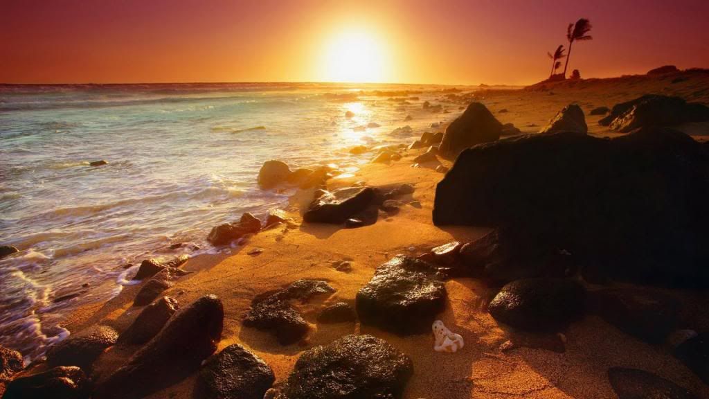 Best-top-desktop-beautiful-nature-wallpapers-hd-nature-wallpaper-picture-image-photo-22_zpsdb163b89.jpg