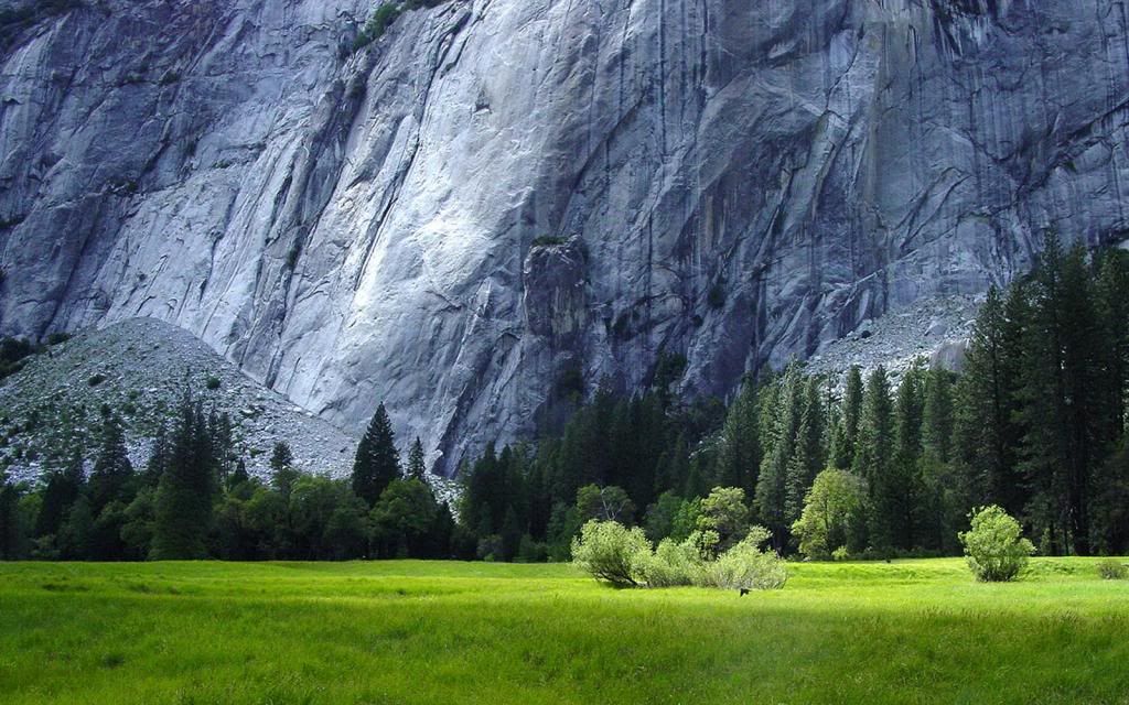 Best-top-desktop-beautiful-nature-wallpapers-hd-nature-wallpaper-picture-image-photo-5_zpsa2689658.jpg