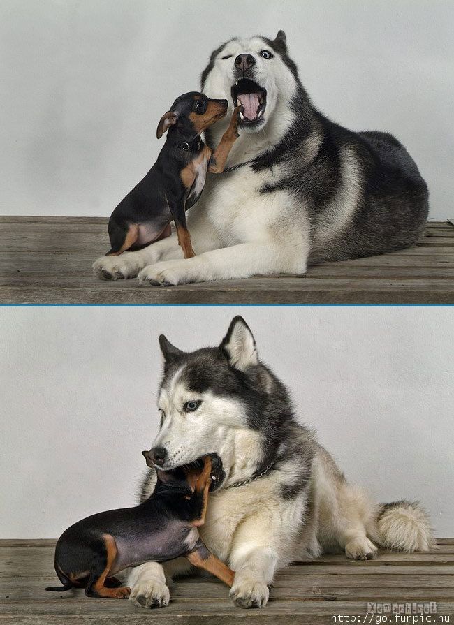 funny_picture_1291_zps61a5998a.jpg