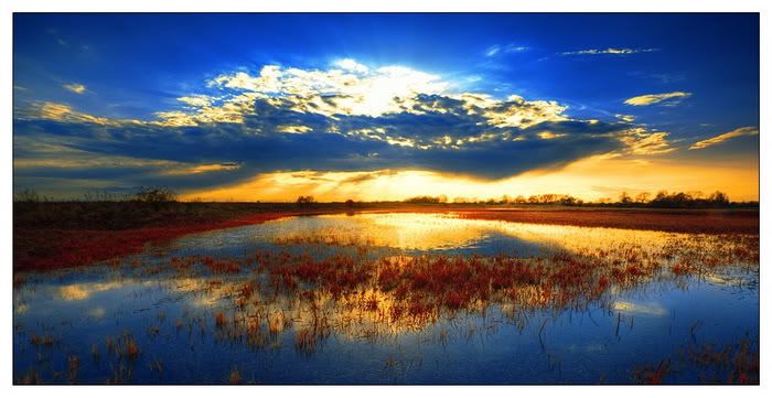 beauty-sunlight12_zpsf28e8df8.jpg