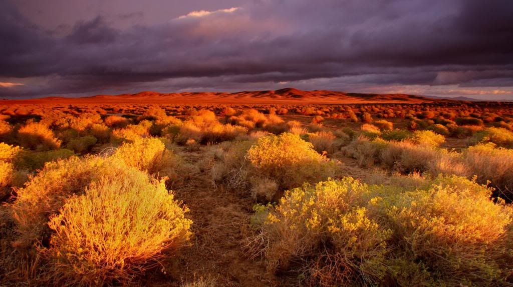 nature2640_zpsed9c5e0c.jpg