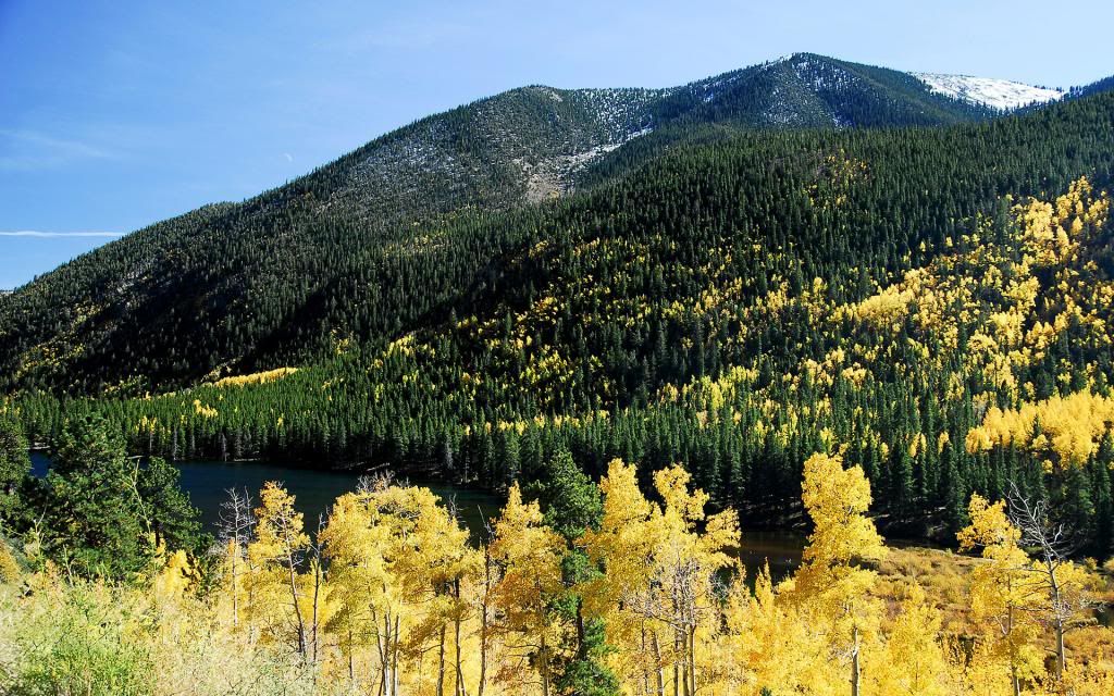 nature3181_zps7a77fbd0.jpg