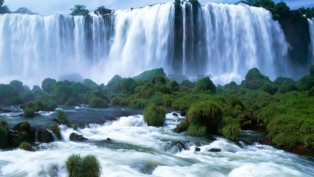 nature4919_zps7d0808aa.jpg