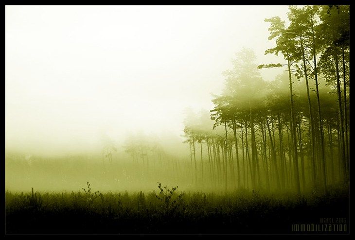 phong_canh49_zpsa6b3b5dc.jpg