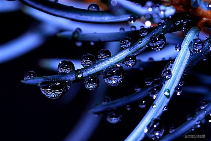 water_drop_flower_30_zps3b14807a.jpg