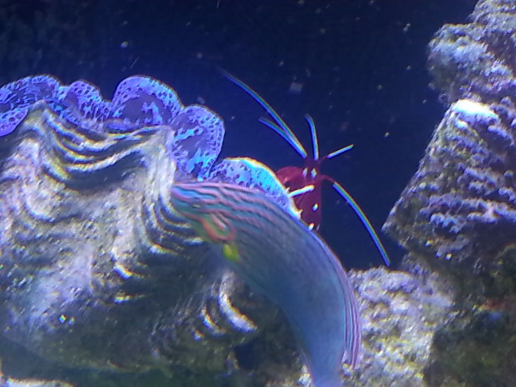 20130225_172504_zps1685af28.jpg