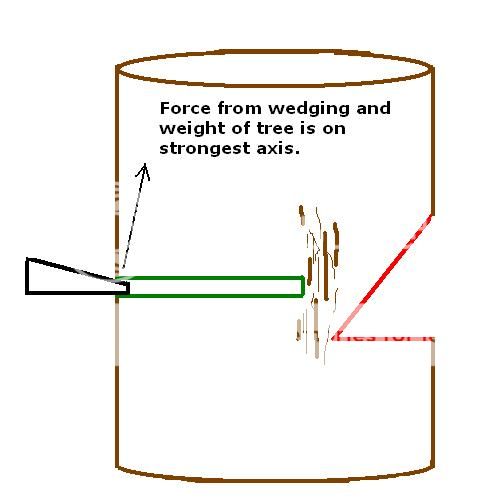 Simple drawing of cutting a tree